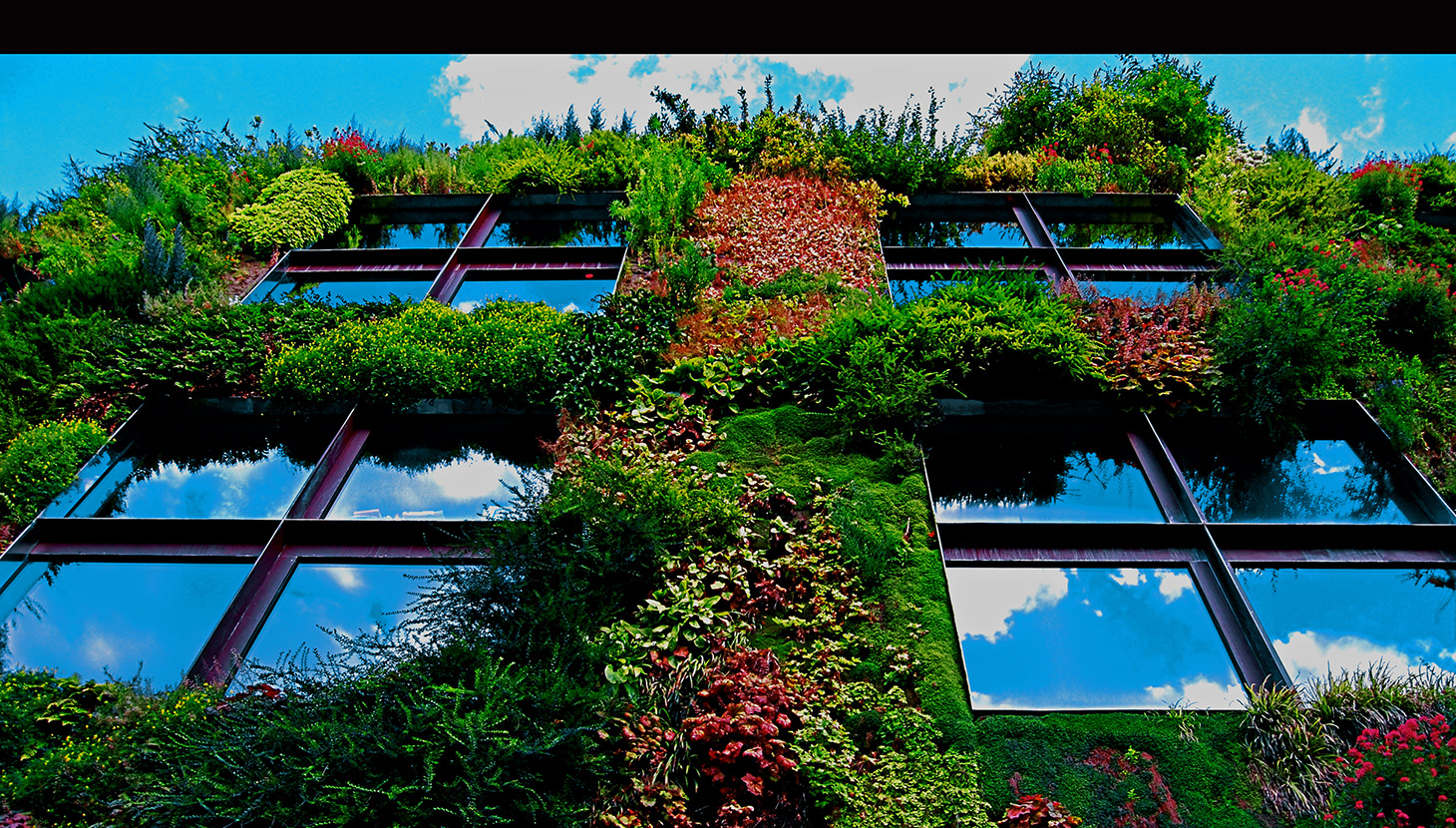 Congress Workshops: Spotlight on Biophilic Design | The Academy of Urbanism