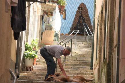 Lessons from Lisbon / part 5