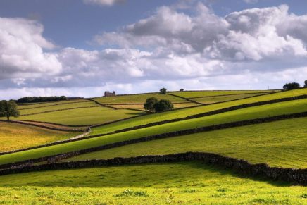 Spring Debate: should good urbanists avoid green fields?